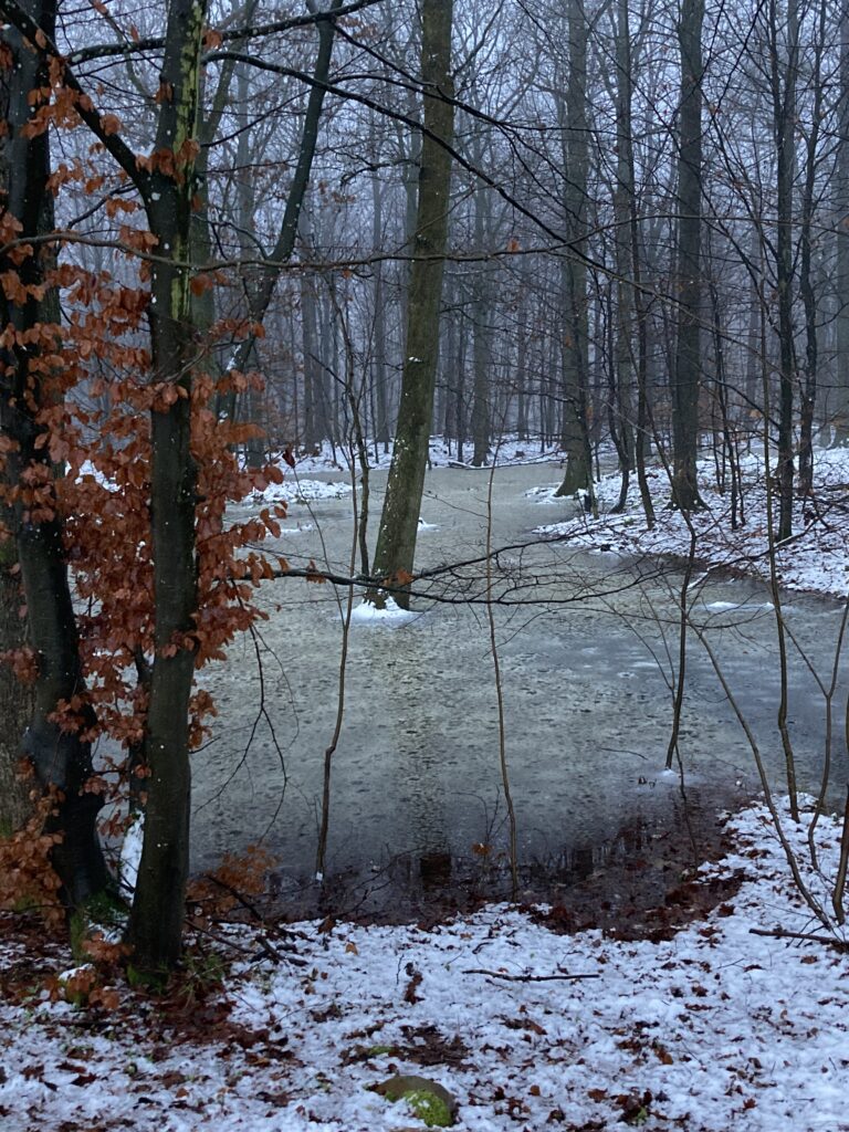 Moder Natur i snön 2023