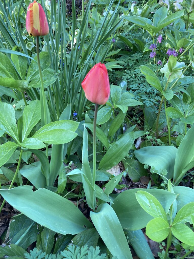 Sommarvärmen närmar sig .. .