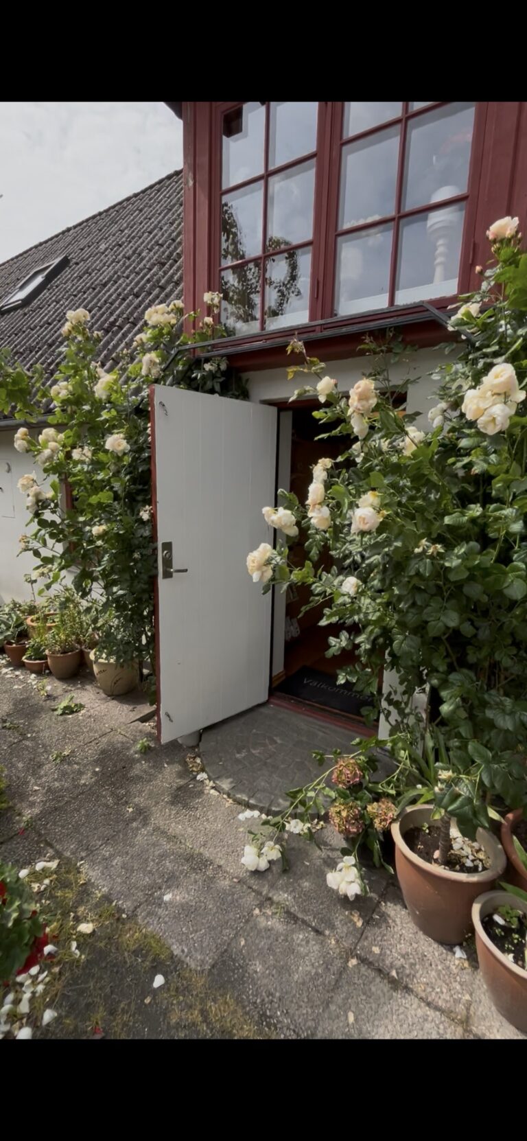 Sommar i Juli